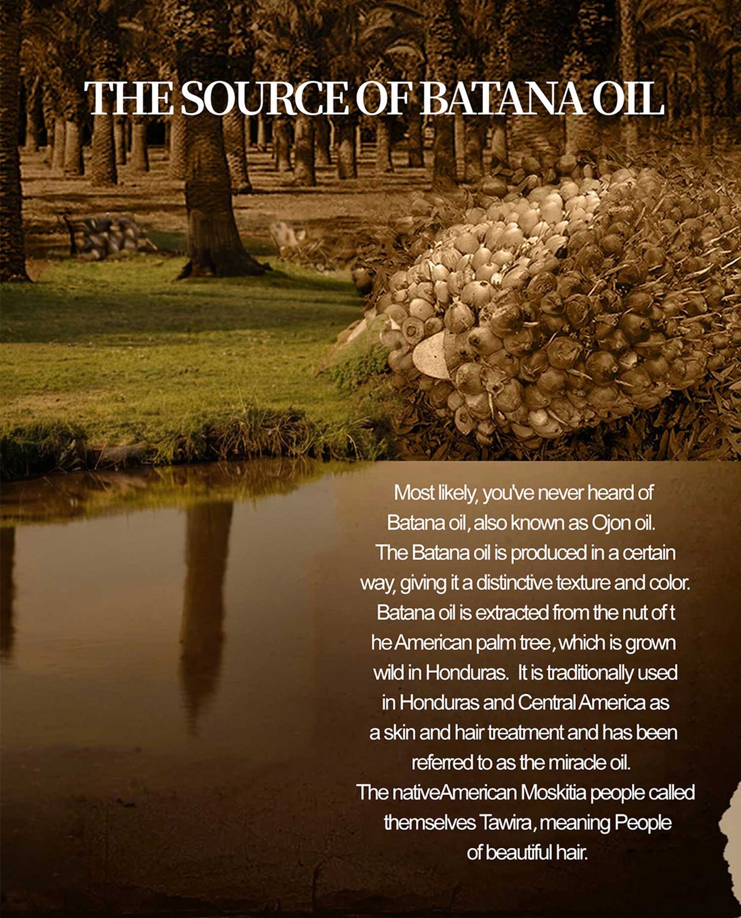 Melysia Batana Hair Care Oil, batana hair oil, nourishing hair oil, hair growth oil, scalp conditioning oil, strengthening hair oil, moisturizing hair oil, natural hair care oil, hair repair oil, shine enhancing hair oil